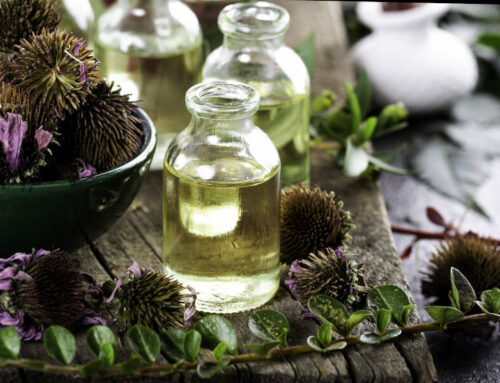 La naturopathie, quelques explications
